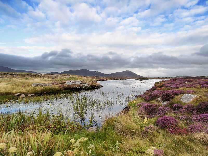 Moorland near Daliburgh in South Uist, The Outer Hebrides
