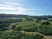 Aerial view of afforested land in Wales owned by Thorlux. Credit: Thorlux.
